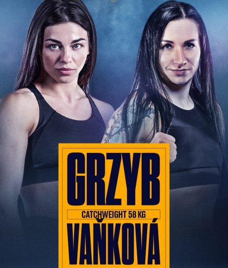 KSW111_grzyb_1080x1920